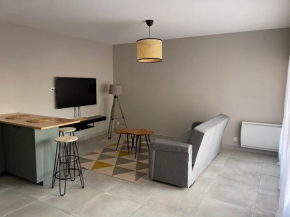 Appartement cosy hyper centre
